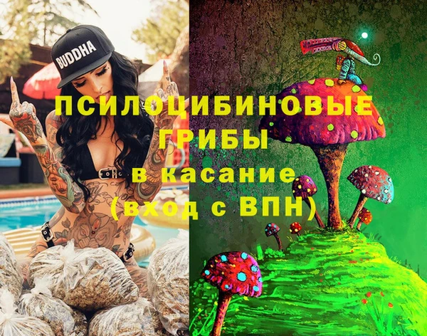 мет Аркадак