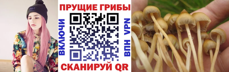 Псилоцибиновые грибы GOLDEN TEACHER Шатура