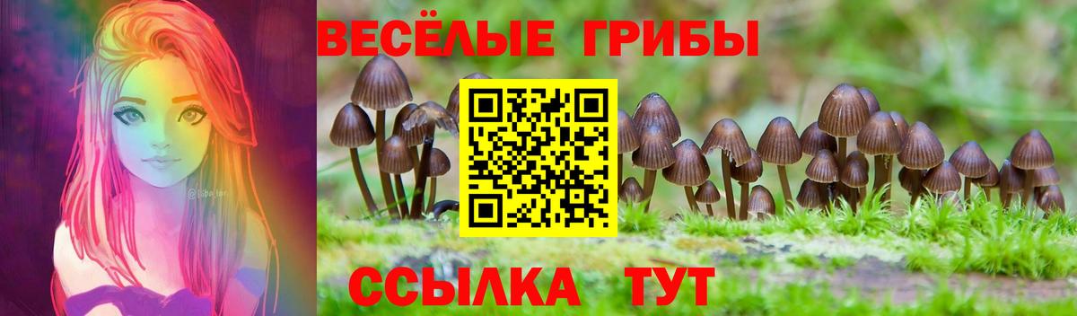 Шатура  Псилоцибиновые грибы GOLDEN TEACHER  Вход с VPN  купить закладку  Псилоцибиновые грибы мицелий 
